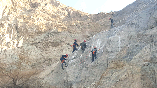 1602225249813586.gif 4.gif