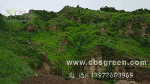 1602225306349852.gif 8.gif