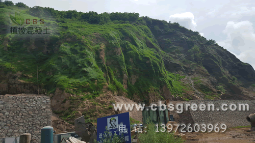 1602225321212483.gif 9.gif